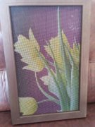 �ʻ�����